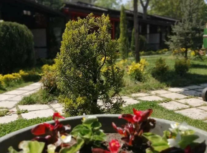 Kirkpinar Otantik سبانجا